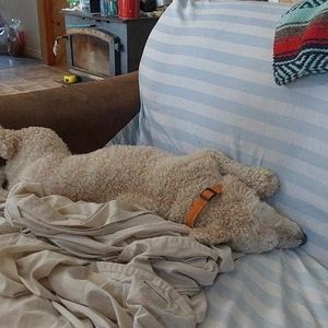 Meet your Posher, June